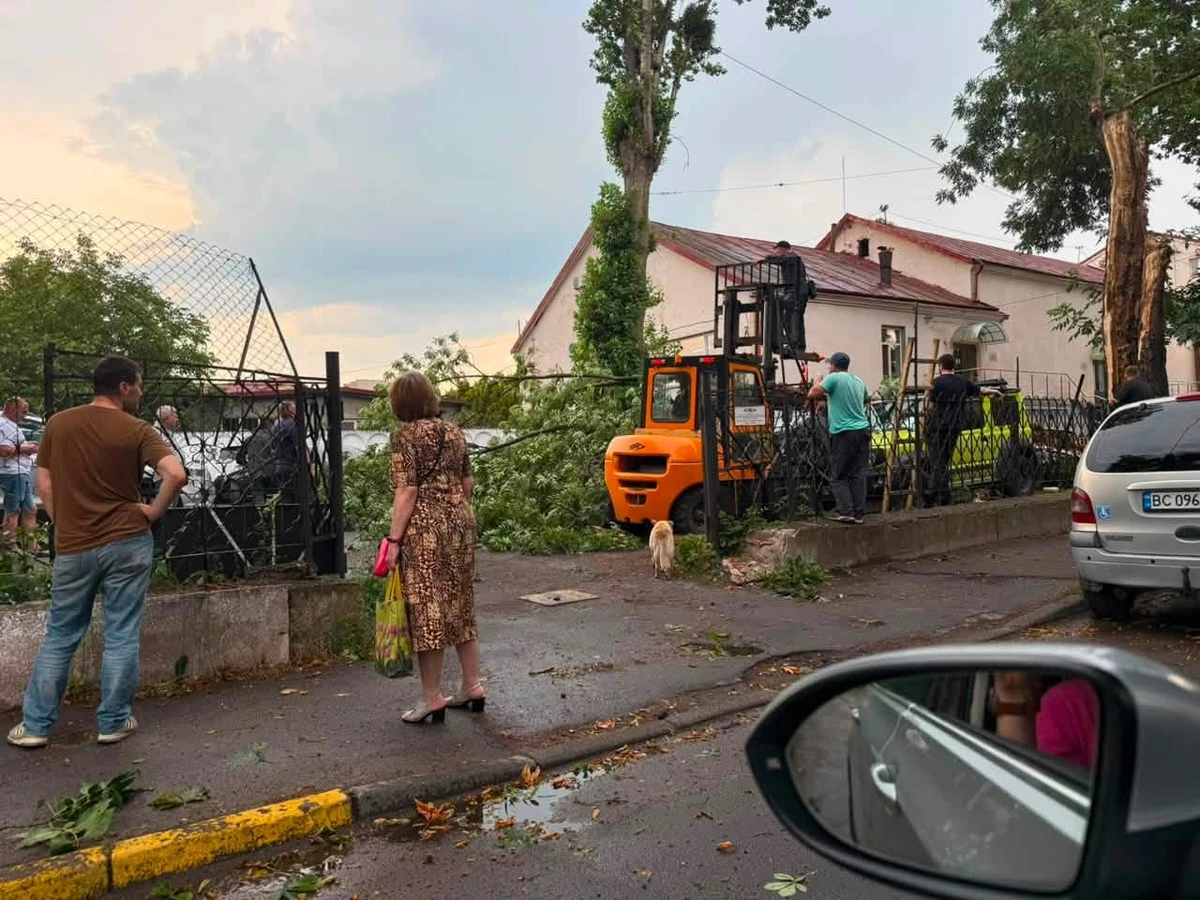 фото: Садовый