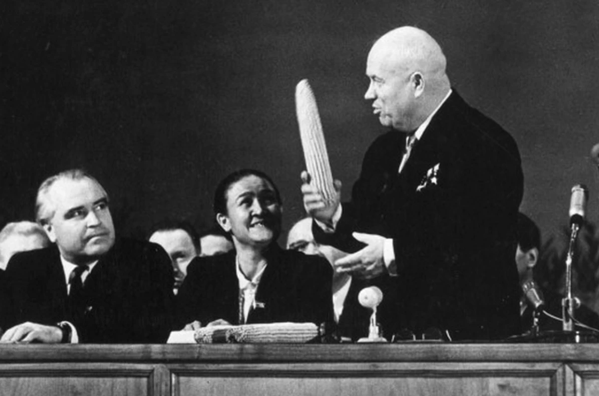 Из документа ЦРУ (1960 год): Население Украины не верит в так называемую оттепель после смерти Сталина. Люди не любят Хрущева и не доверяют ему. Русификация в Украине достигла значительных успехов, в частности в системе школьного образования. По состоянию на 1957 год во Львове было 33% украинских школ, всего 4 украинские средние школы в Одессе и всего 4 в Кировограде.
На фото – генсек Хрущев и его всемирно известная страсть к кукурузе