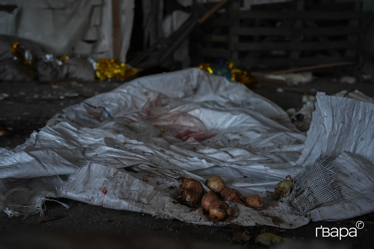 Фото: Харьковское СМИ Гвара Медиа